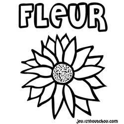 Flores #27626