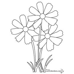 Flores #27639