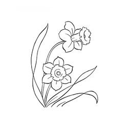 Flores #27646