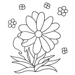 Flores #27670