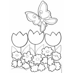 Flores #27672