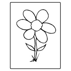 Flores #27673