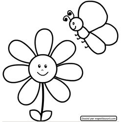 Flores #27677