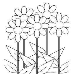 Flores #27680
