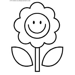Flores #27686