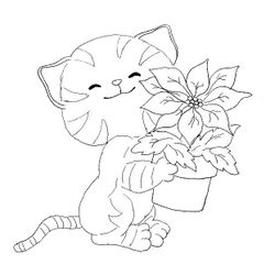 Flores #27692