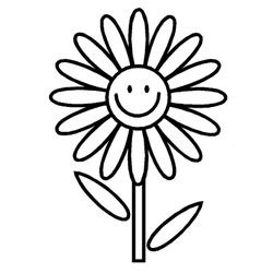 Flores #27694
