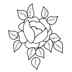 Flores #27698