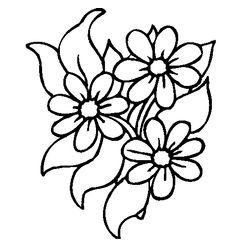 Flores #27704