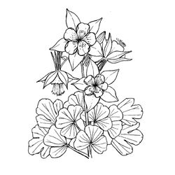 Flores #27723