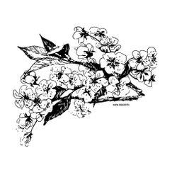 Flores #27741