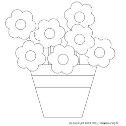 Flores #27742
