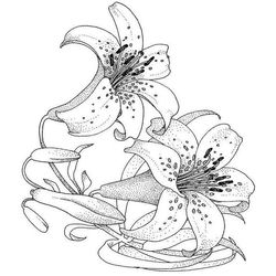Flores #27743