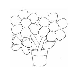 Flores #27759