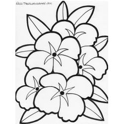 Flores #27766