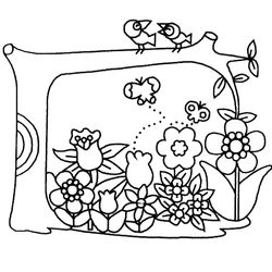 Flores #27767