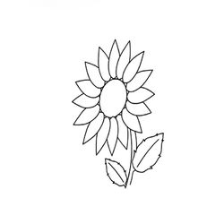 Flores #27770