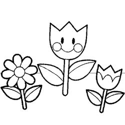 Flores #27774