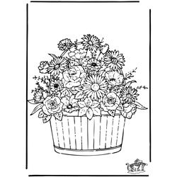 Flores #27776