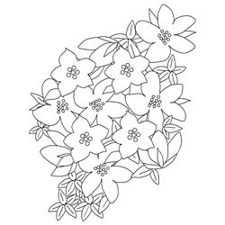 Flores #27792