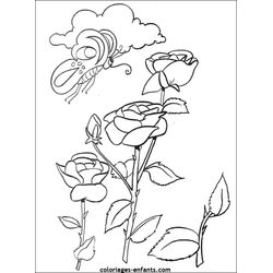 Flores #27794