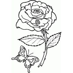 Flores #27799