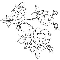 Flores #27800