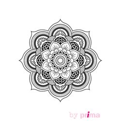 Flores #27806
