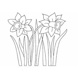 Flores #27808