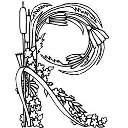 Flores #27818