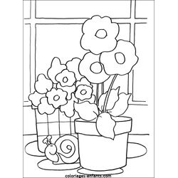 Flores #27821