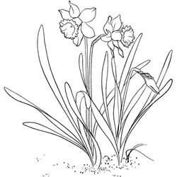 Flores #27834