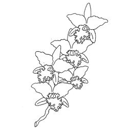 Flores #27839