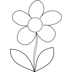 Flores #27849