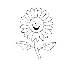 Flores #27862