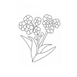 Flores #27871