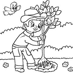 Jardín #27944