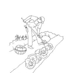 Jardín #27957