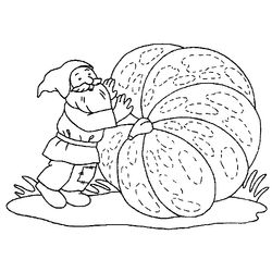 Jardín #27986