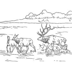 Lago #28021