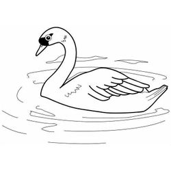 Lago #28024