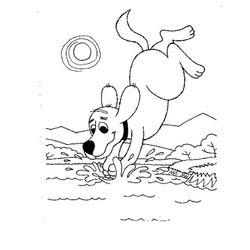 Lago #28026