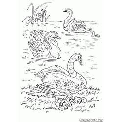 Lago #28031
