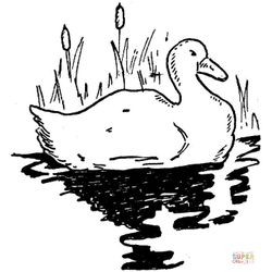 Lago #28033