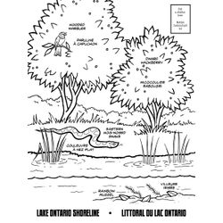 Lago #28041