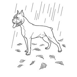 lluvia #28101