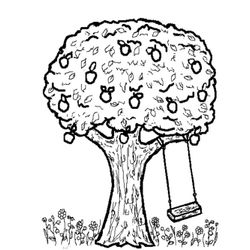 Manzano #28334