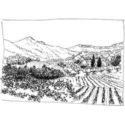 Montaña #28394