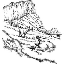 Montaña #28398