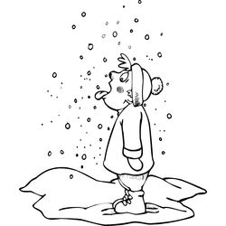 Nieve #28433